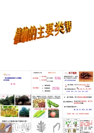 八年级生物下册 第22章 第三节 植物的主要类群课件3 （新版）北师大版