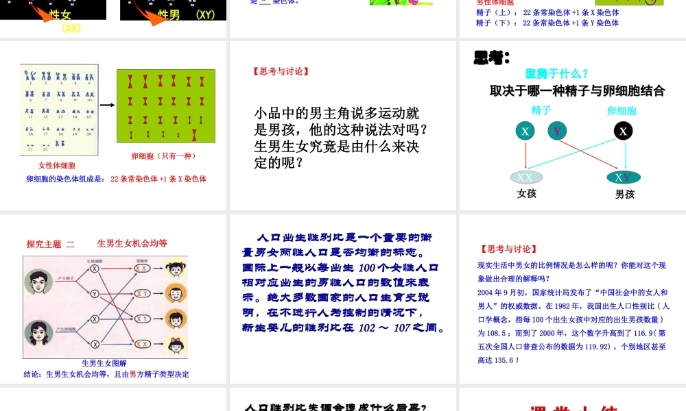 八年级生物下册 第八单元 生物的生殖、发育与遗传 第二十二章 生物的遗传和变异 第三节 人的性别决定课件1（新版）苏教版-（新版）苏教版初中八年级下册生物课件