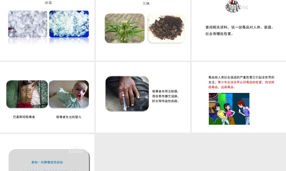 八年级生物下册 第8单元 健康地生活 第25章 第3节《远离烟酒 拒绝毒品》课件2 （新版）苏科版-（新版）苏科版初中八年级下册生物课件