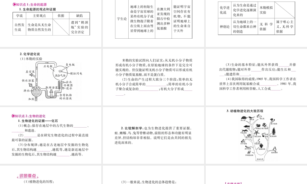八年级生物下册 第6单元 第3、4章复习课件 （新版）冀教版-（新版）冀教版初中八年级下册生物课件