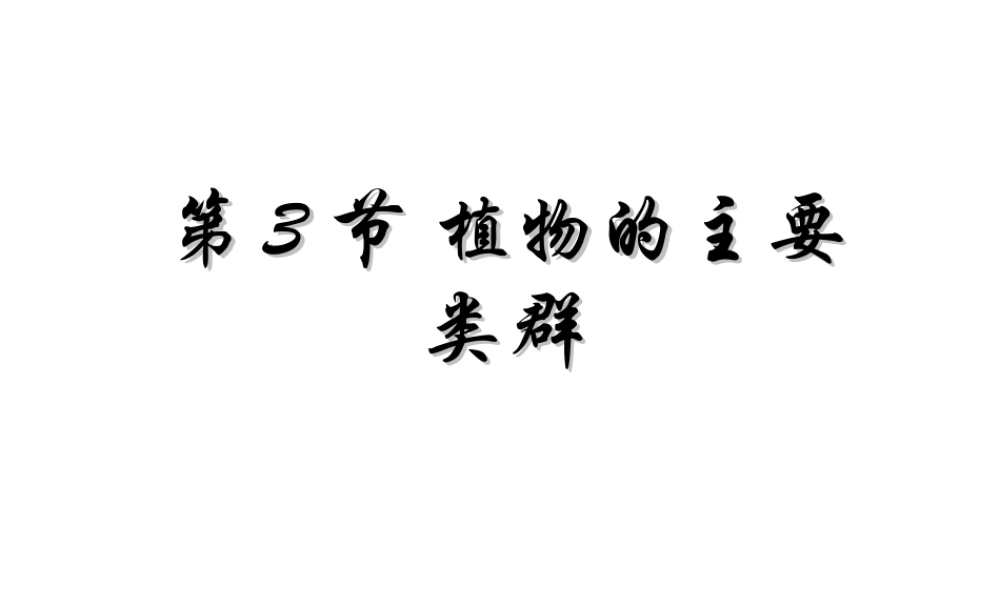 八年级生物下册 第22章 第三节 植物的主要类群课件4 （新版）北师大版