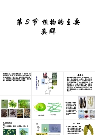 八年级生物下册 第22章 第三节 植物的主要类群课件4 （新版）北师大版