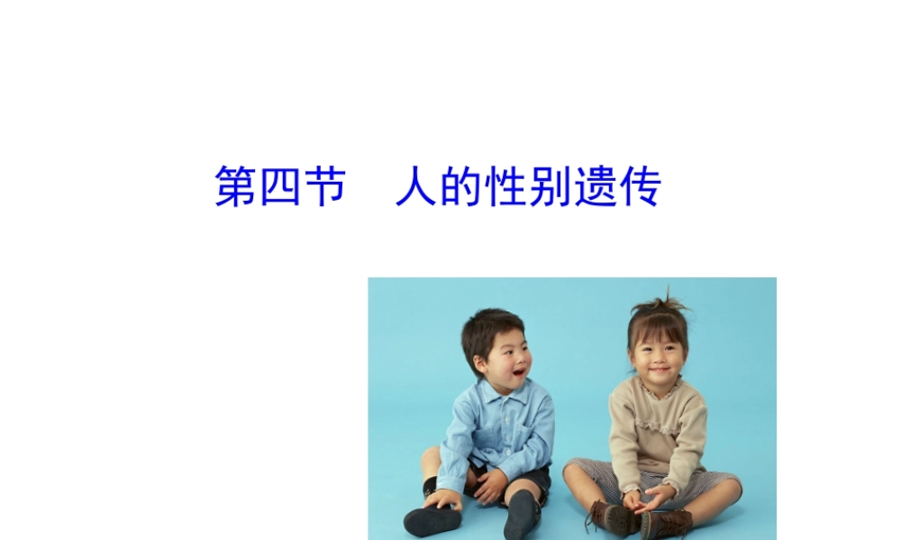 八年级生物下册 第八单元 生物的生殖、发育与遗传 第二十二章 生物的遗传和变异 第三节 人的性别决定课件1（新版）苏教版-（新版）苏教级下册生物课件