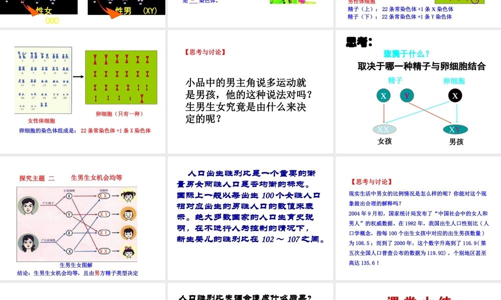 八年级生物下册 第八单元 生物的生殖、发育与遗传 第二十二章 生物的遗传和变异 第三节 人的性别决定课件1（新版）苏教版-（新版）苏教级下册生物课件