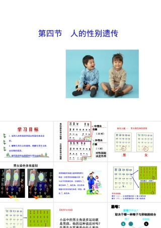 八年级生物下册 第八单元 生物的生殖、发育与遗传 第二十二章 生物的遗传和变异 第三节 人的性别决定课件1（新版）苏教版-（新版）苏教级下册生物课件