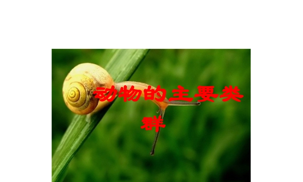 八年级生物下册 第22章 第四节 动物的主要类群课件1 （新版）北师大版