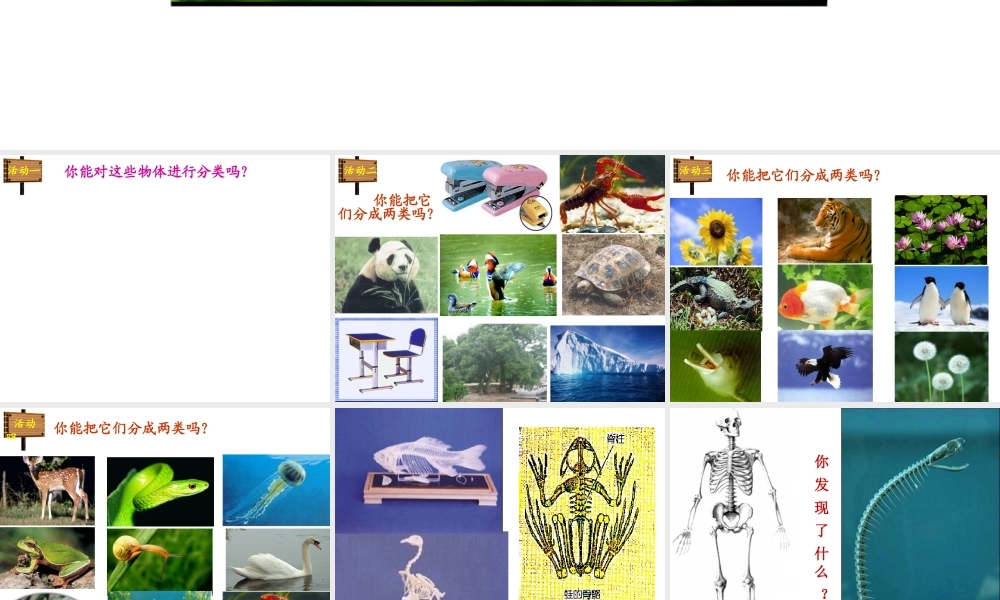 八年级生物下册 第22章 第四节 动物的主要类群课件1 （新版）北师大版