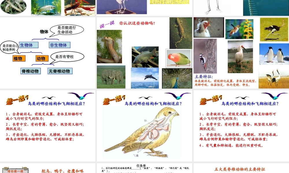 八年级生物下册 第22章 第四节 动物的主要类群课件1 （新版）北师大版