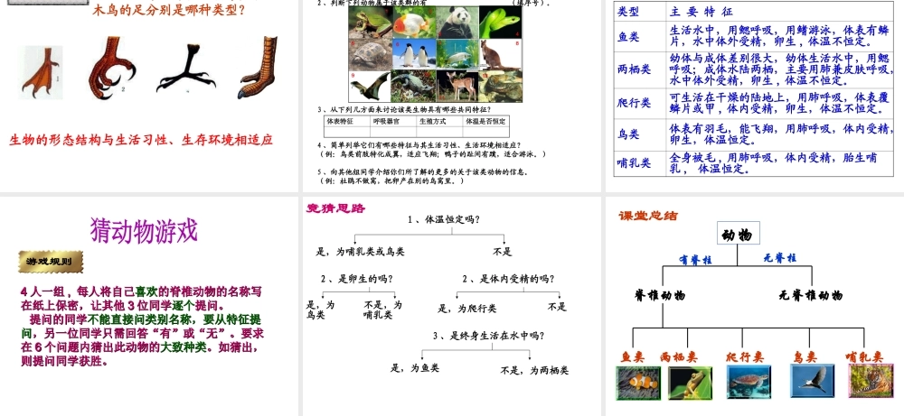 八年级生物下册 第22章 第四节 动物的主要类群课件1 （新版）北师大版