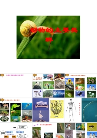 八年级生物下册 第22章 第四节 动物的主要类群课件1 （新版）北师大版