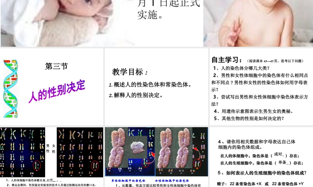 八年级生物下册 第八单元 生物的生殖、发育与遗传 第二十二章 生物的遗传和变异 第三节 人的性别决定课件2（新版）苏教版-（新版）苏教版初中八年级下册生物课件