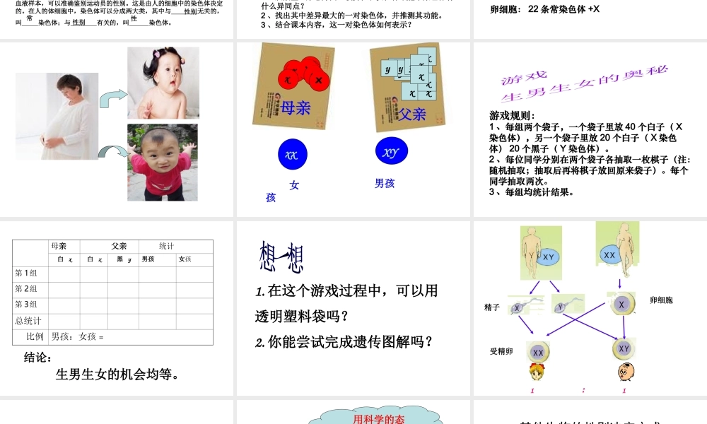 八年级生物下册 第八单元 生物的生殖、发育与遗传 第二十二章 生物的遗传和变异 第三节 人的性别决定课件2（新版）苏教版-（新版）苏教版初中八年级下册生物课件