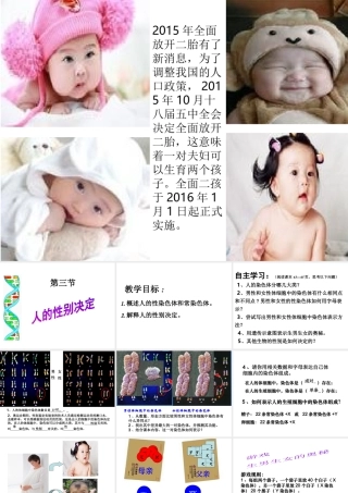 八年级生物下册 第八单元 生物的生殖、发育与遗传 第二十二章 生物的遗传和变异 第三节 人的性别决定课件2（新版）苏教版-（新版）苏教版初中八年级下册生物课件