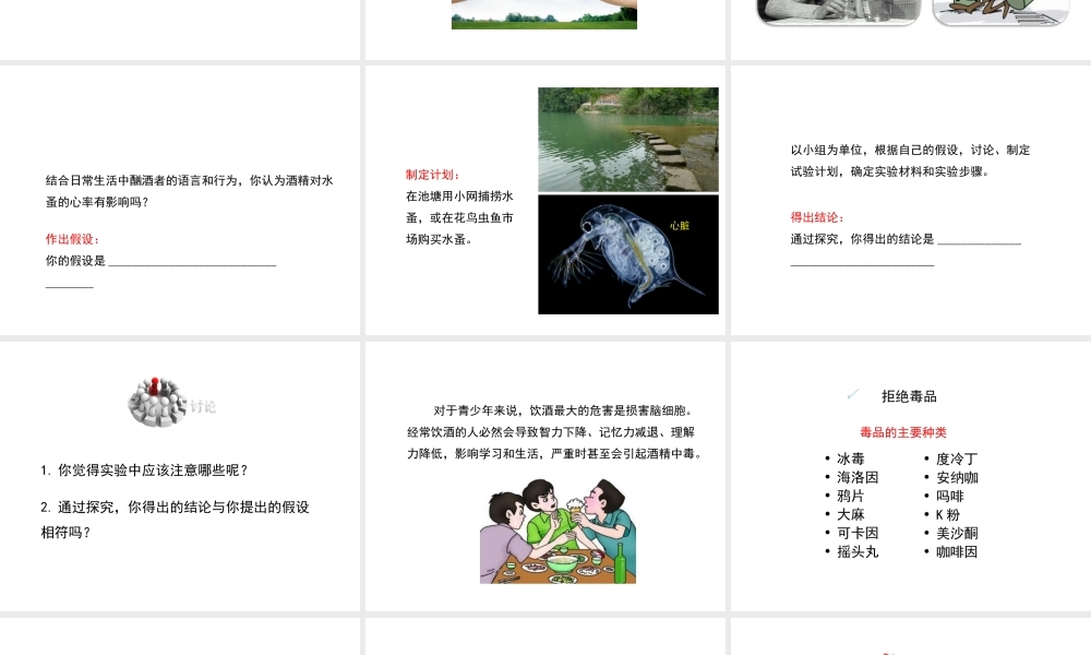 八年级生物下册 第8单元 健康地生活 第25章 第3节《远离烟酒 拒绝毒品》课件2 （新版）苏科版-（新版）苏科级下册生物课件