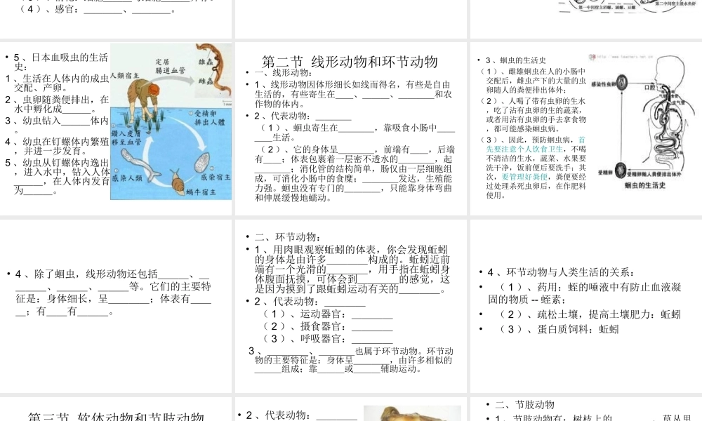 八年级生物下册 第22章 第四节 动物的主要类群课件2 （新版）北师大版