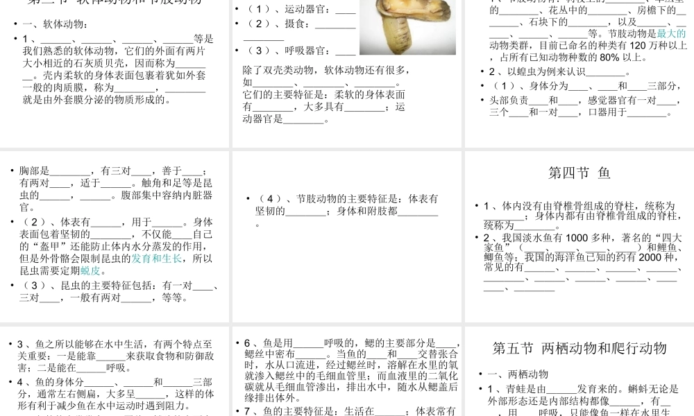 八年级生物下册 第22章 第四节 动物的主要类群课件2 （新版）北师大版