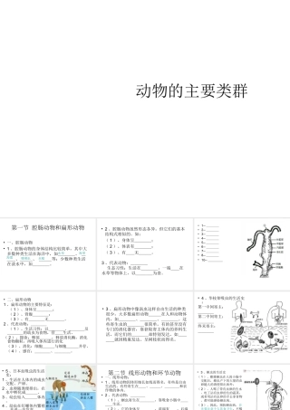 八年级生物下册 第22章 第四节 动物的主要类群课件2 （新版）北师大版