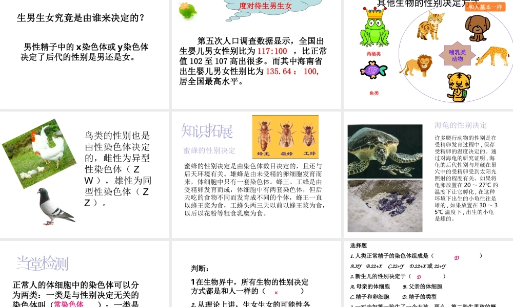 八年级生物下册 第八单元 生物的生殖、发育与遗传 第二十二章 生物的遗传和变异 第三节 人的性别决定课件2（新版）苏教版-（新版）苏教级下册生物课件