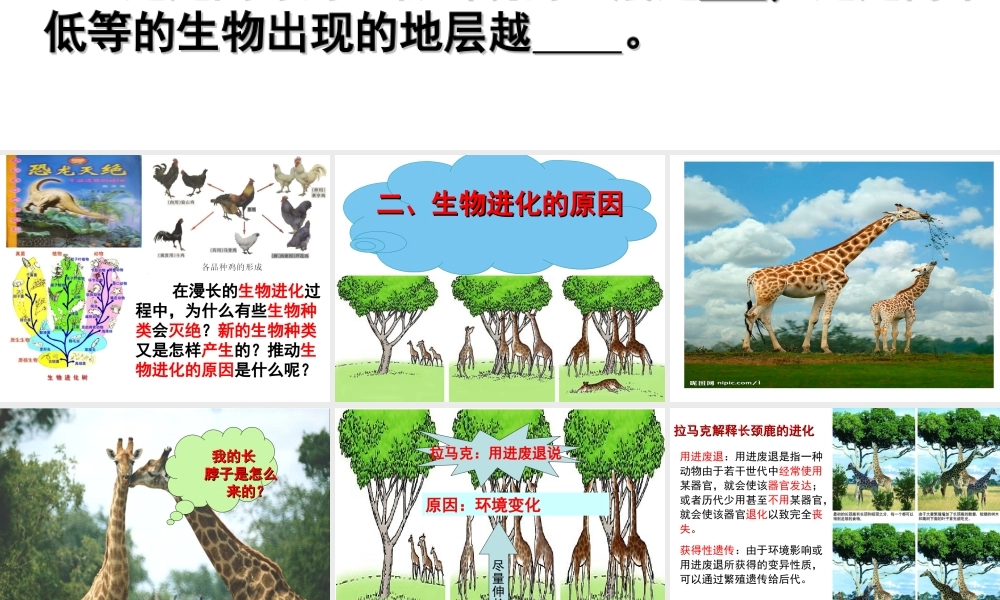 八年级生物下册 第6单元 第3章 第2节 生物的进化 生物进化的原因课件 （新版）冀教版-（新版）冀教版初中八年级下册生物课件