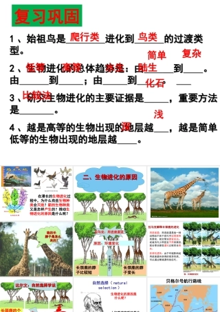 八年级生物下册 第6单元 第3章 第2节 生物的进化 生物进化的原因课件 （新版）冀教版-（新版）冀教级下册生物课件