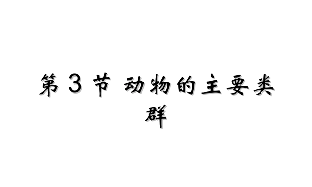 八年级生物下册 第22章 第四节 动物的主要类群课件4 （新版）北师大版