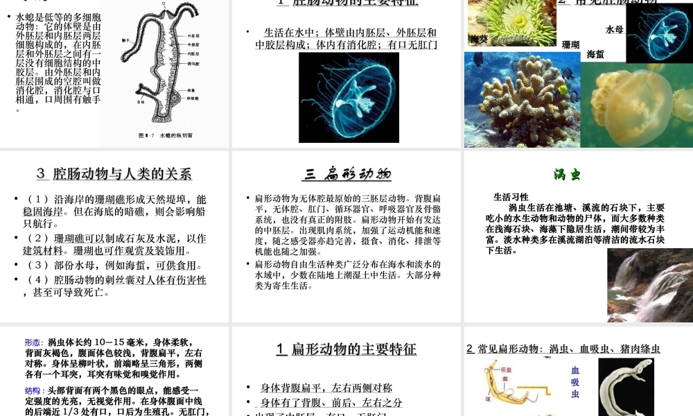 八年级生物下册 第22章 第四节 动物的主要类群课件4 （新版）北师大版