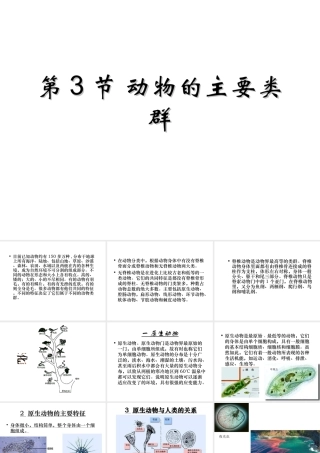 八年级生物下册 第22章 第四节 动物的主要类群课件4 （新版）北师大版