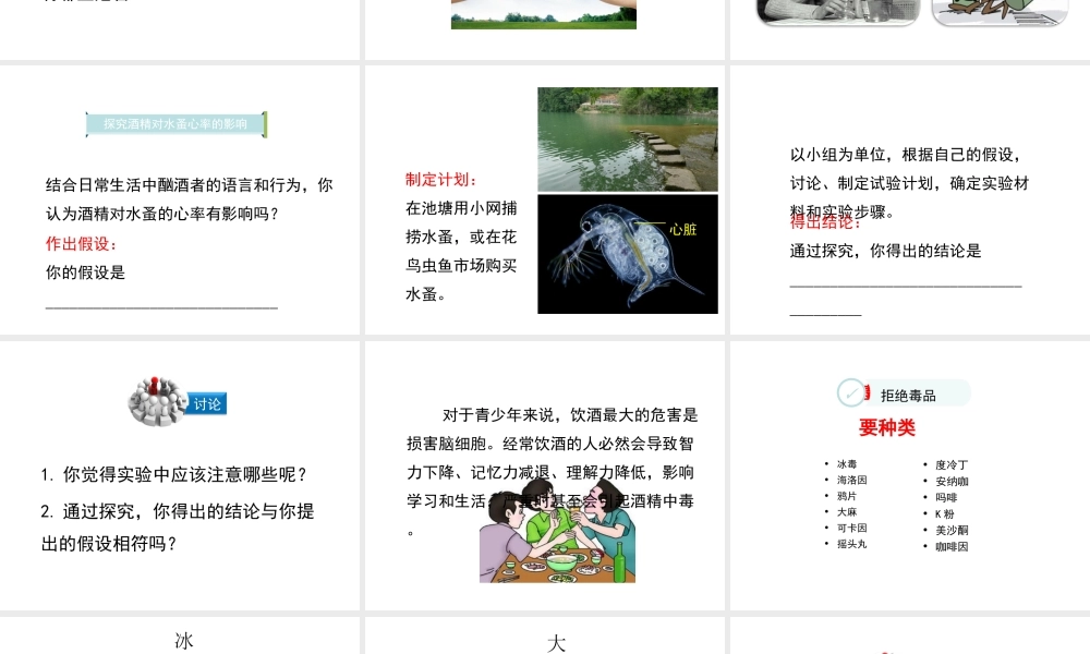 八年级生物下册 第8单元 健康地生活 第25章 第3节《远离烟酒 拒绝毒品》课件3 （新版）苏科版-（新版）苏科级下册生物课件