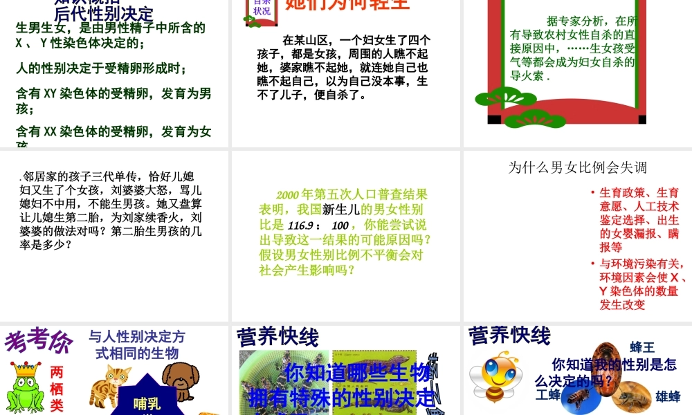 八年级生物下册 第八单元 生物的生殖、发育与遗传 第二十二章 生物的遗传和变异 第三节 人的性别决定课件3（新版）苏教版-（新版）苏教级下册生物课件