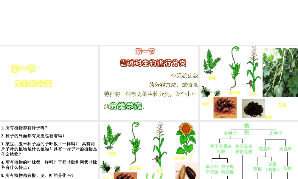 八年级生物下册 第22章 第一节 生物的分类课件1 （新版）北师大版
