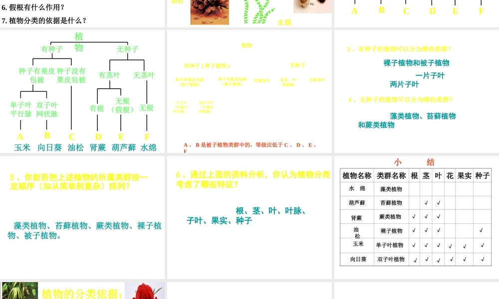 八年级生物下册 第22章 第一节 生物的分类课件1 （新版）北师大版