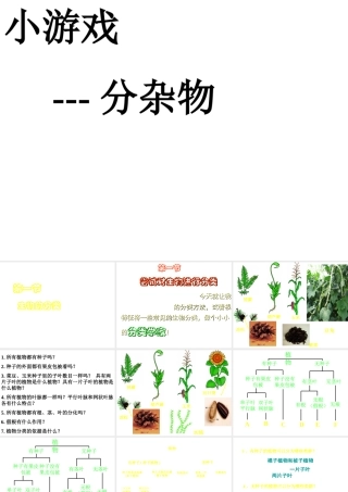 八年级生物下册 第22章 第一节 生物的分类课件1 （新版）北师大版