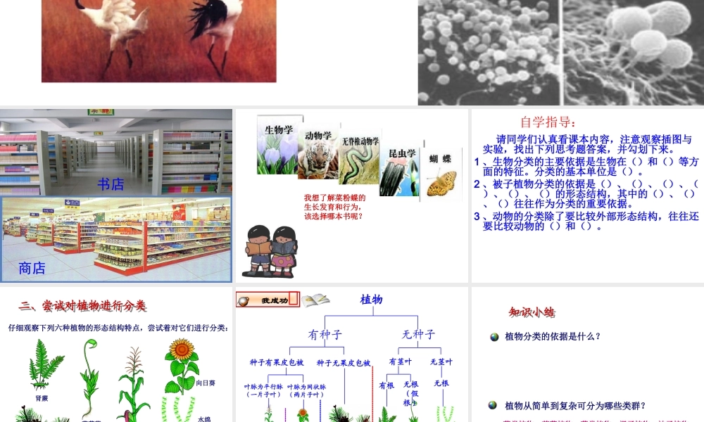 八年级生物下册 第22章 第一节 生物的分类课件2 （新版）北师大版