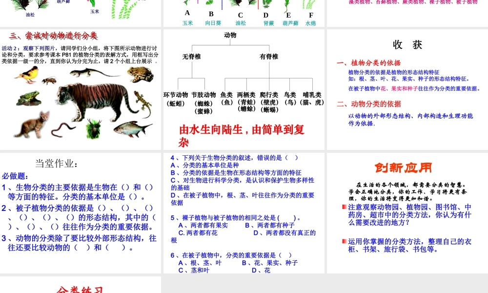 八年级生物下册 第22章 第一节 生物的分类课件2 （新版）北师大版