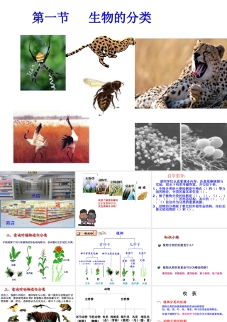 八年级生物下册 第22章 第一节 生物的分类课件2 （新版）北师大版