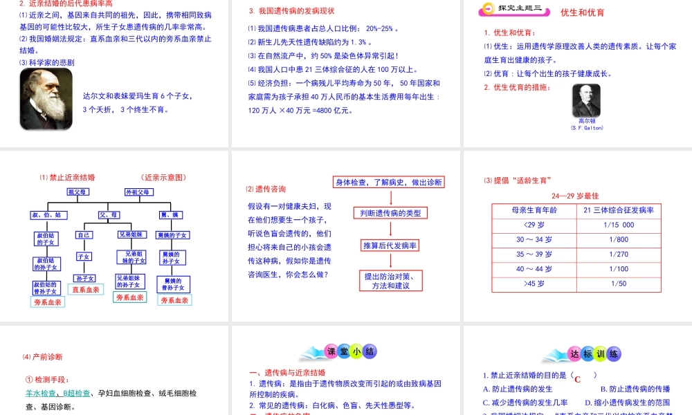 八年级生物下册 第八单元 生物的生殖、发育与遗传 第二十二章 生物的遗传和变异 第四节 遗传病和优生优育课件1（新版）苏教版-（新版）苏教版初中八年级下册生物课件