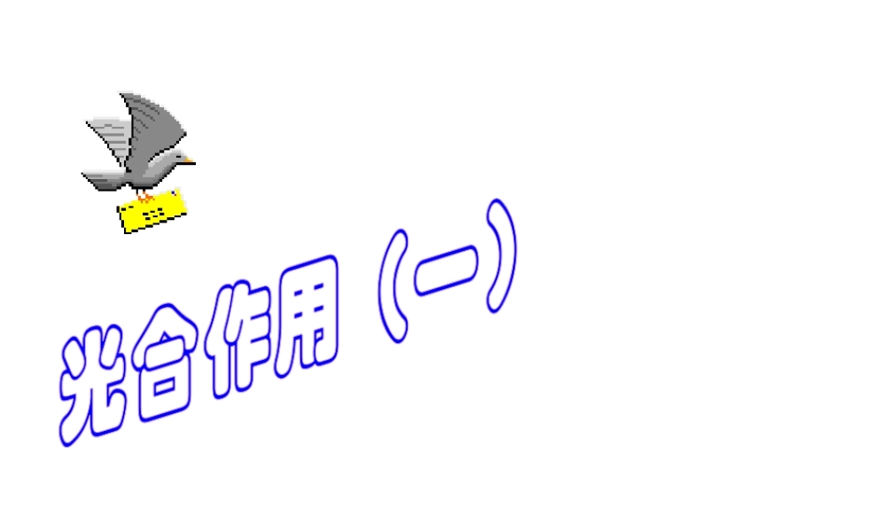 八年级科学上册 2.5光合作用课件 华东师大版