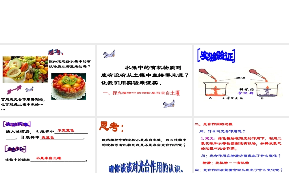 八年级科学上册 2.5光合作用课件 华东师大版