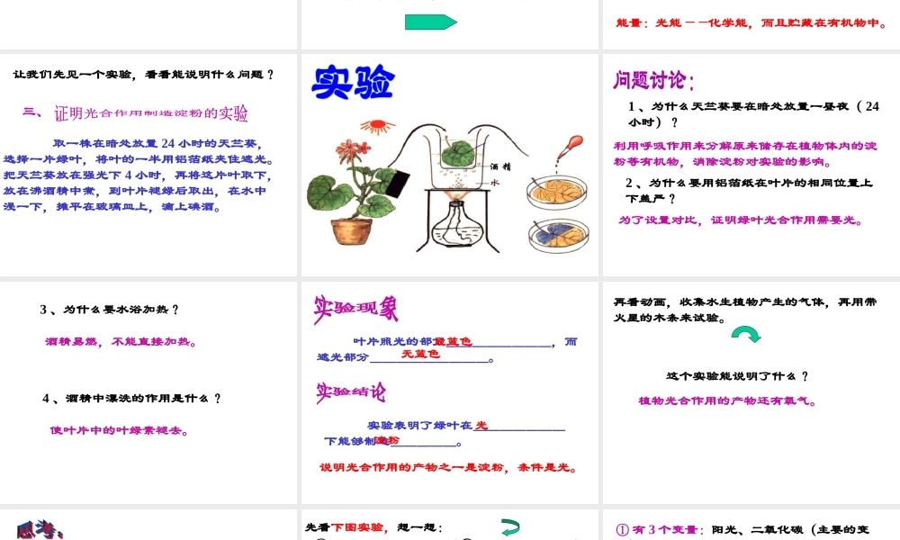 八年级科学上册 2.5光合作用课件 华东师大版