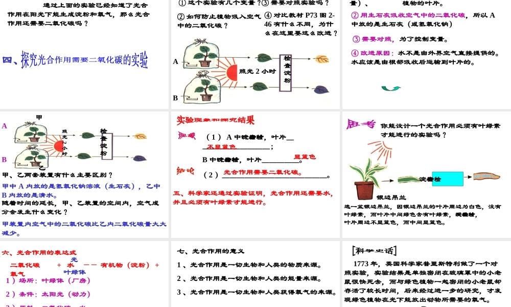 八年级科学上册 2.5光合作用课件 华东师大版