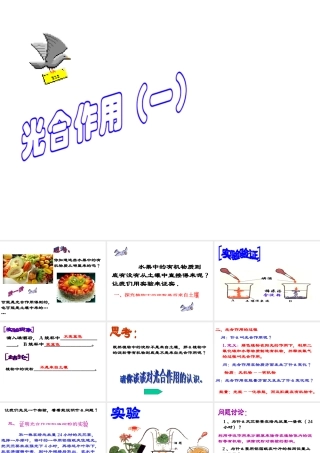 八年级科学上册 2.5光合作用课件 华东师大版