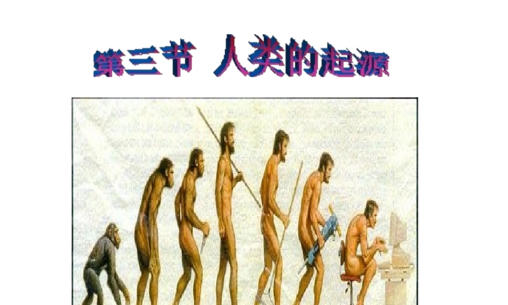 八年级生物下册 第6单元 第3章 第3节 人类的起源课件 （新版）冀教版-（新版）冀教级下册生物课件