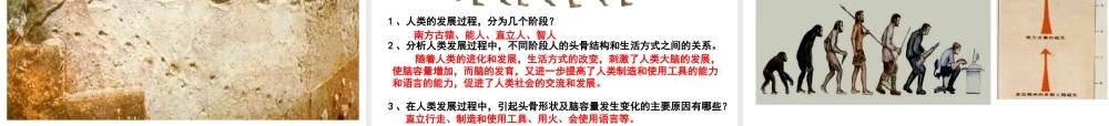 八年级生物下册 第6单元 第3章 第3节 人类的起源课件 （新版）冀教版-（新版）冀教级下册生物课件