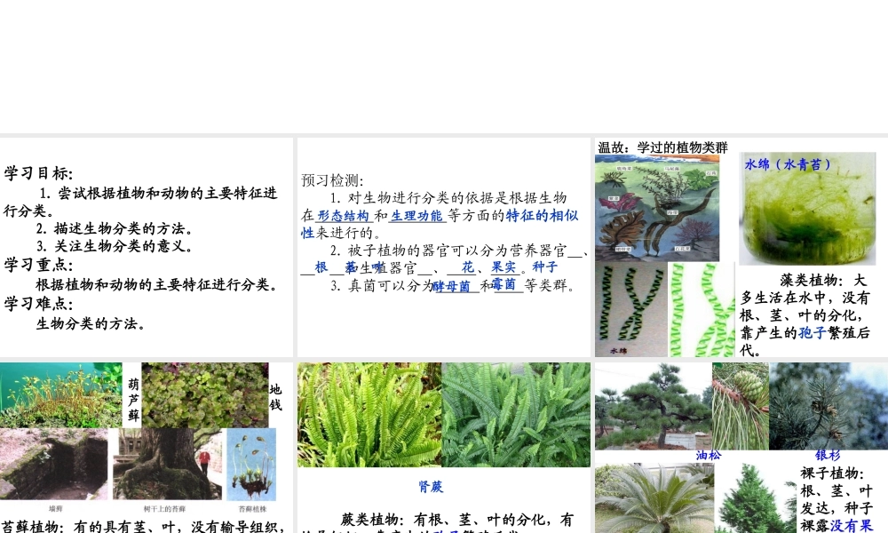 八年级生物下册 第22章 第一节 生物的分类课件3 （新版）北师大版