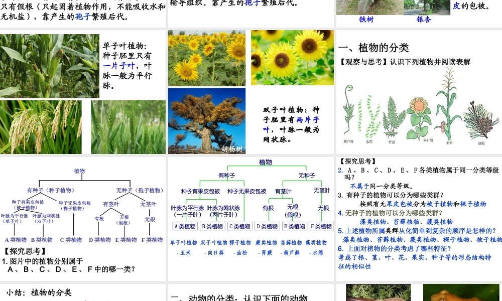 八年级生物下册 第22章 第一节 生物的分类课件3 （新版）北师大版