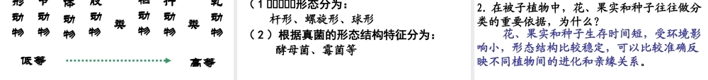 八年级生物下册 第22章 第一节 生物的分类课件3 （新版）北师大版