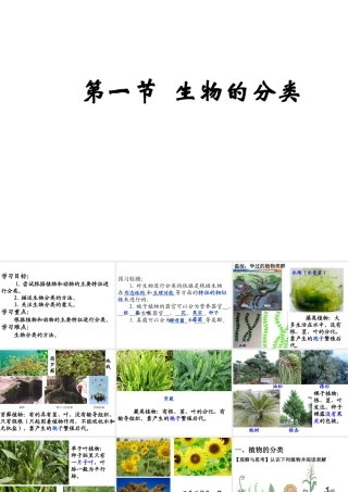 八年级生物下册 第22章 第一节 生物的分类课件3 （新版）北师大版