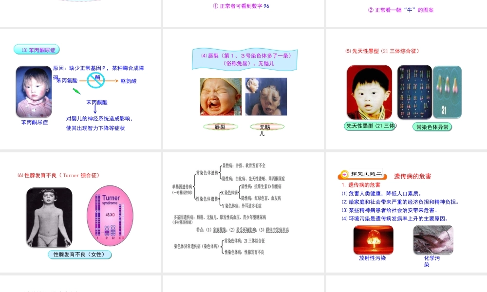 八年级生物下册 第八单元 生物的生殖、发育与遗传 第二十二章 生物的遗传和变异 第四节 遗传病和优生优育课件1（新版）苏教版-（新版）苏教级下册生物课件