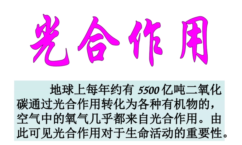 八年级科学上册 2.5光合作用课件 浙教版