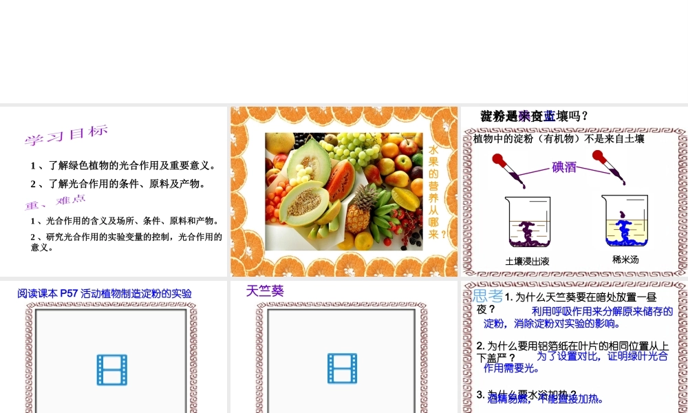 八年级科学上册 2.5光合作用课件 浙教版
